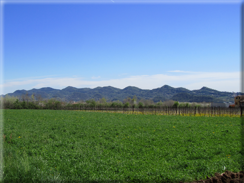 foto Paesaggi Collinari in Primavera